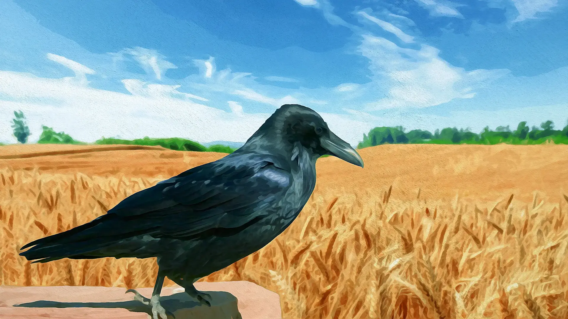 vogelabwehr-fuer-voegel vogel-vor-feld